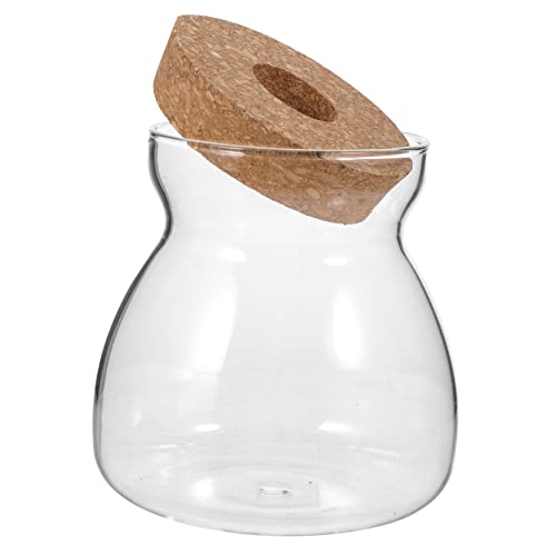Gatuida Ökologische Mikrolandschaftsflasche Vermehrungsgefäße dekorativ Sukkulenten drinnen Krüge mit Deckel Mini zimmerpflanzen Terrarienglas Glasterrarium mit Deckel hölzern Transparent von Gatuida