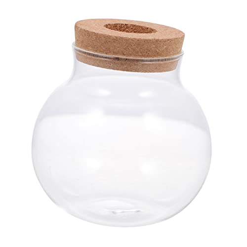Gatuida Ökologisches Aquarium Tisch Pflanzgefäß Aquatic DIY Micro Landscape Bottle Mini Fischglas Behälter Aquarium Terrarium Fischglas Aquarium Ökosystem Requisite von Gatuida