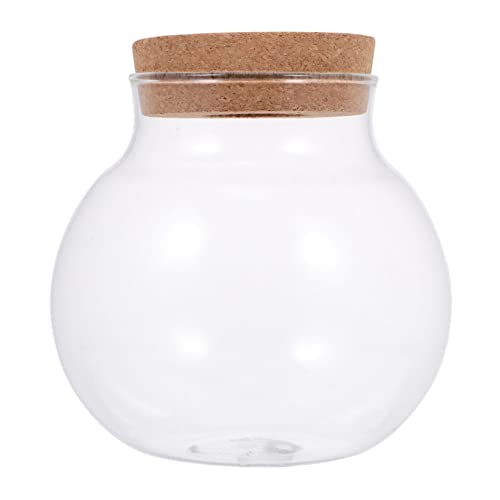 Gatuida Ökologisches Fischbecken Beta Fischbecken Durchsichtig Kleines Aquarium Terrarium Behälter Schreibtischdekor Mini Fischglas Mikro Landschaftsflasche Sukkulenten von Gatuida