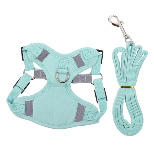 Gatuida Reflektierendes Katzenbrustgeschirr mit Verstellbarer Leine und Flexiblem Traction Rope Bequemes Komfortables Geschirr für Sichere Nächtliche Spaziergänge Geeignet für Kitten und von Gatuida