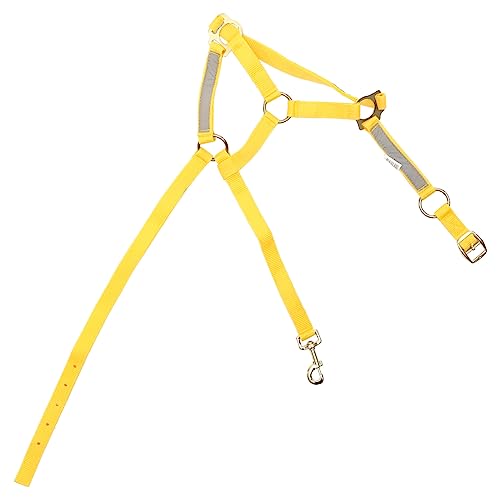 Gatuida Reflektierendes Pferdehalfter Fluoreszierendem Tragenresistente Kopfstall Für Cob Reitzubehör Für Pferde Gatuida Reflektierendes Pferdehalfter Fluoreszierendem Tragenresistente Kopfstall Für Cob Reitzubehör Für Pferde von Gatuida