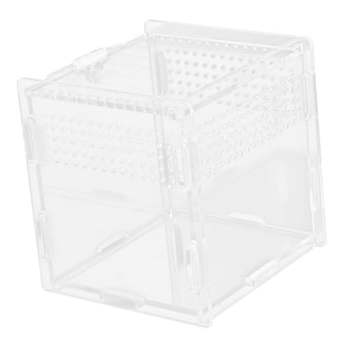 Gatuida Reptilien Futterbox Transparente Zuchtbox für Schlangen Geckos und Taranteln Wetterbeständig mit Perfekter Verarbeitung für Haustiere Gatuida Reptilien Futterbox Transparente Zuchtbox für Schlangen Geckos und Taranteln Wetterbeständig mit Perfekter Verarbeitung für Haustiere von Gatuida