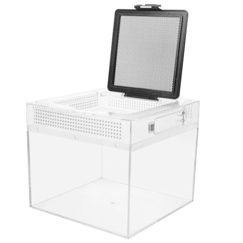 Gatuida Reptilien Futterbox für Schildkröten und Eidechsen Transparente Aufbewahrungsbox mit Atmungsaktiven Löchern für Terrarien und Reptilien Haustiere Praktische Zuchtbox für Eidechsen von Gatuida