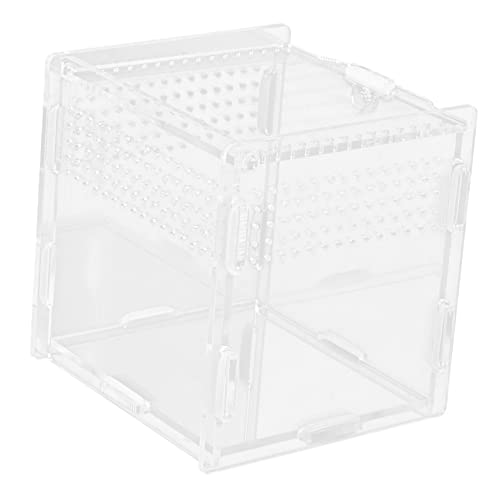 Gatuida Reptilien Terrarium Transparentes Habitat für Eidechsen Spinnen Frösche Gehäuse für Kleine Haustiere Leicht zu Reinigen mit Atmungsaktiven Löchern Gatuida Reptilien Terrarium Transparentes Habitat für Eidechsen Spinnen Frösche Gehäuse für Kleine Haustiere Leicht zu Reinigen mit Atmungsaktiven Löchern von Gatuida