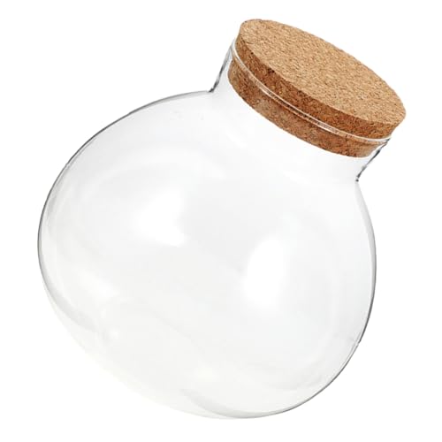 Gatuida Runde Glasflasche mit Korkverschluss Transparenter Miniatur ökosystem Terrarium flaschengarten Mikrolandschaft Pflanzgefäß für Dekoration und Aufbewahrung Gatuida Runde Glasflasche mit Korkverschluss Transparenter Miniatur ökosystem Terrarium flaschengarten Mikrolandschaft Pflanzgefäß für Dekoration und Aufbewahrung von Gatuida