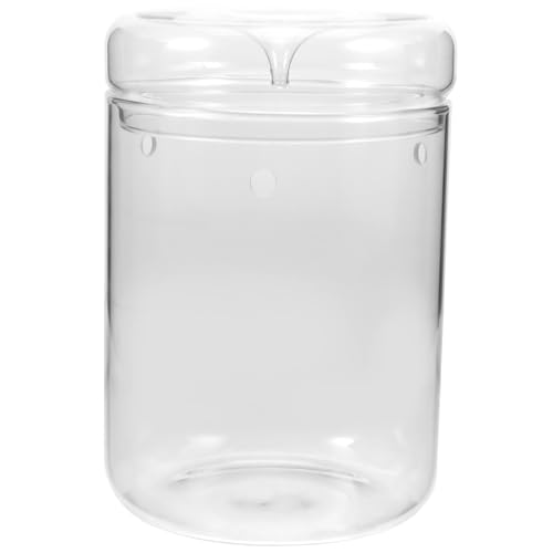 Gatuida Mini-Terrarium Aus Glas Pflanzenterrarium Durchsichtig Kleines Glasterrarium Für Pflanzen Glaspflanzgefäß Als Aufbewahrungsbehälter Mini-landschaftsflasche Für Blumen Und von Gatuida