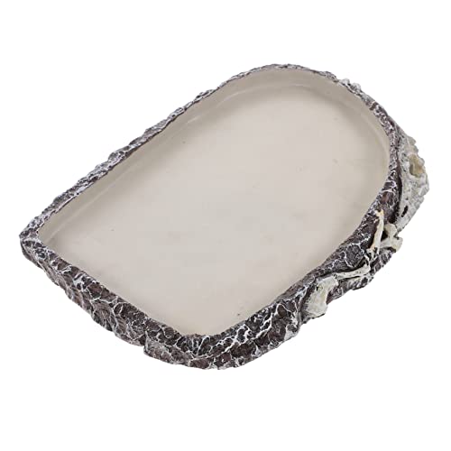 Gatuida Terrarium Wasserschale für Schildkröten Schlangen und Echsen Harz Futter und Trinkschale für Reptilien für Terrarien und Einfache Fütterung Gatuida Terrarium Wasserschale für Schildkröten Schlangen und Echsen Harz Futter und Trinkschale für Reptilien für Terrarien und Einfache Fütterung von Gatuida