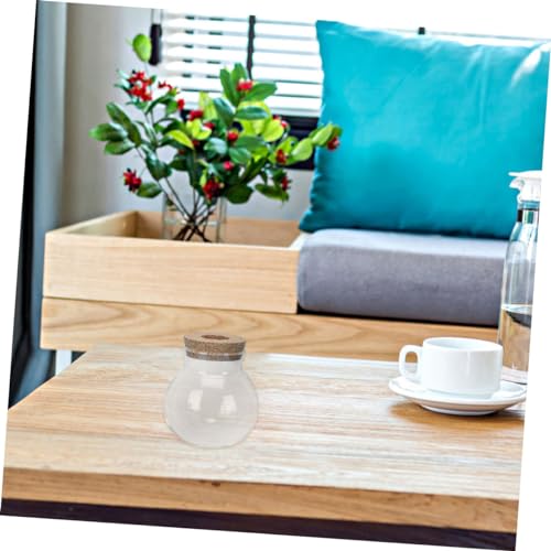 Gatuida Transparente Glasflasche mit Holzsockel Mikrolandschaft Terrarium für Moos und Sukkulentenpflanzen Pflegeleichtes Tischdeko Glasgefäß für Zuhause und Büro von Gatuida