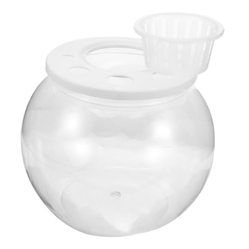 Gatuida Transparenter Kunststoff Fisch Aquarium Tisch Dekoration Kleiner Tragbarer Fischbehälter für Goldfisch und Betta mit Stoßfestem Langlebigem Design Gatuida Transparenter Kunststoff Fisch Aquarium Tisch Dekoration Kleiner Tragbarer Fischbehälter für Goldfisch und Betta mit Stoßfestem Langlebigem Design von Gatuida