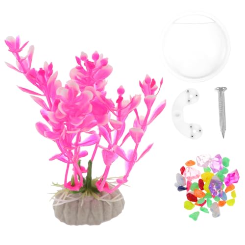 Gatuida Transparenter Wandmontierter Acryl Fischtank Durchmesser Hängendes Aquarium für Fische und Pflanzen Wanddekoration Wohnraum Platzsparend Robust Zufällige Farbe von Gatuida