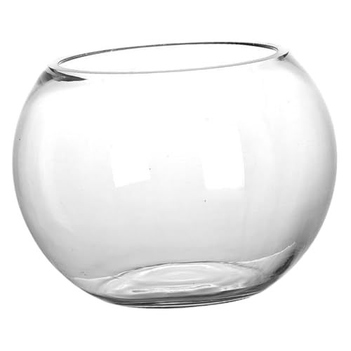 Gatuida Transparentes Rundes Glas Aquarium Für Kleine Fische Fischtank Für Schreibtisch Büro Für Goldfische Und Wasserpflanzen Dekorativer von Gatuida