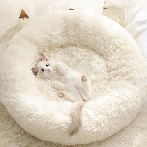 Gavenia Katzenbetten für Indoor-Katzen, 50.8 x 50.8 cm, waschbar, Flauschiges Bett für Hunde und Katzen, beruhigendes und selbstwärmendes Bett für Schlafverbesserung (Beige) von Gavenia