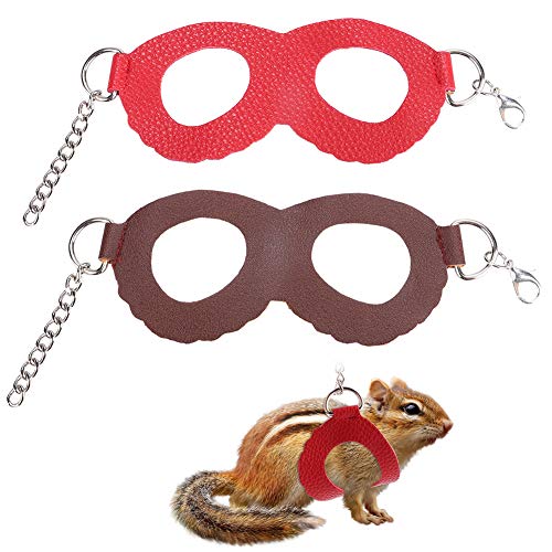 2pcs kleines Haustier im Freien im Freien und Leinen -Set mit Dekor für Kätzchenzubehör von Gavigain