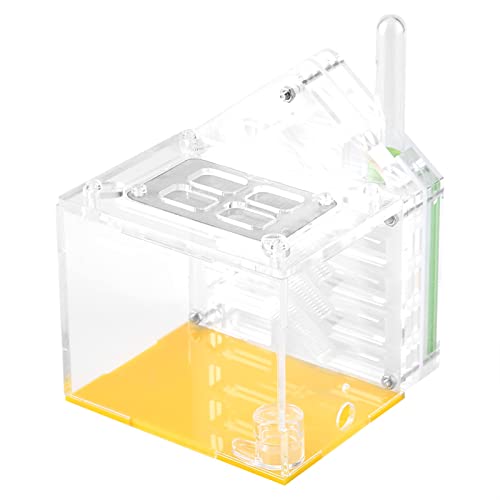 Acrylnest Villa Farm House Formicarium Atmungsaktives Netz Good Sealing Science Education Spielzeug Kind Gelb 10x10x7,8 cm 3.9x3.9x3.1in Acrylnest Villa Farm House Formicarium Atmungsaktives Netz Good Sealing Science Education Spielzeug Kind Gelb 10x10x7,8 cm 3.9x3.9x3.1in von Gavigain