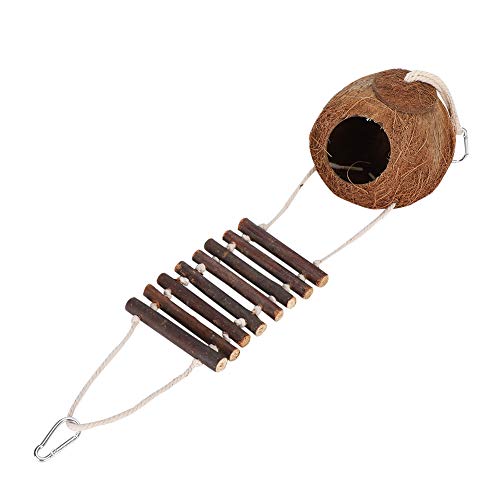 Gavigain Coconut Shell Pet House mit Kletterleiter, sicherer Nistplatz, 6 cm Eingang, Metallhaken, für Vögel und kleine Haustiere Gavigain Coconut Shell Pet House mit Kletterleiter, sicherer Nistplatz, 6 cm Eingang, Metallhaken, für Vögel und kleine Haustiere von Gavigain