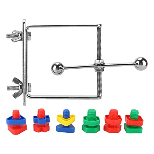 Edelstahl Vogel -Puzzle -Training Spielzeug werben Vogelübungen für Sittiche Cockatiels Conures Edelstahl Vogel -Puzzle -Training Spielzeug werben Vogelübungen für Sittiche Cockatiels Conures von Gavigain