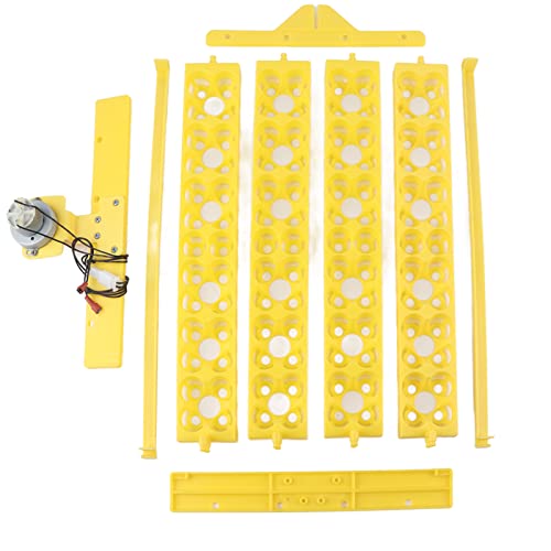 Gavigain Ei -Inkubator kleines Eierschale 24 Eier Vier Blütenblüten Automatisch Huhn Enten Wachtel Labor Plastik (12V) von Gavigain