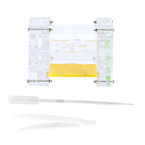 Gavigain Nest transparent feuchtigkeitsspendende Fall Wohnraum für Kinder Acryl von Gavigain