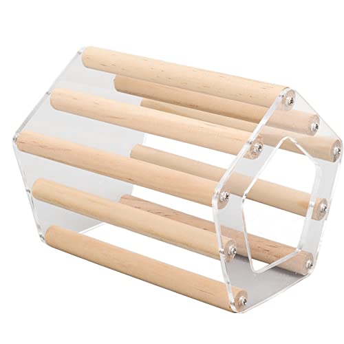 Gavigain Pentagonal Hamster Holzhaus Transparente Hamsterkabine Minimalistische Hamsterkabine für Hamster Goldener Bär (Small 9x9x11cm/ 3.54x3.54x4.33in) von Gavigain