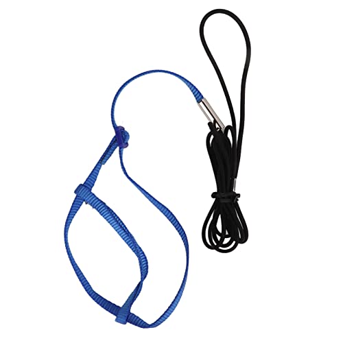 Gavigain Verstellbarer Papageigurt, weiches Nylon -Gurtband, sicheres Hakendesign, Bequeme Vogelleine für Papageien, Cockatiels, Training im Freien und Spaziergänge (XS) von Gavigain
