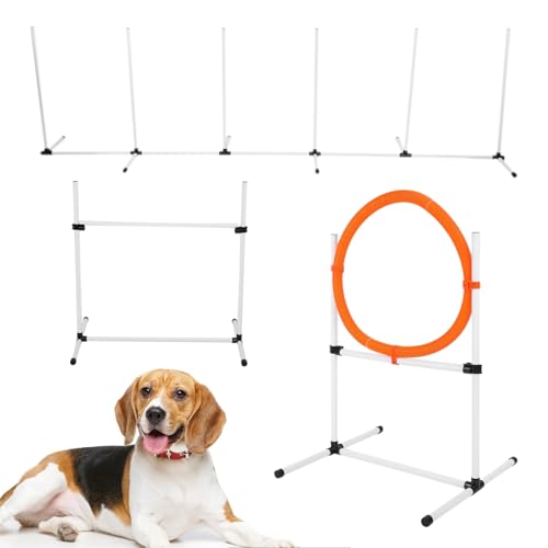 Gavigain tragbares Hundeagilitätstrainingset, Hochspringer, Webstäbe, Robustes Polyethylen, alle Wetterkompatibilität für Hunde und Haustierbesitzer Gavigain tragbares Hundeagilitätstrainingset, Hochspringer, Webstäbe, Robustes Polyethylen, alle Wetterkompatibilität für Hunde und Haustierbesitzer von Gavigain