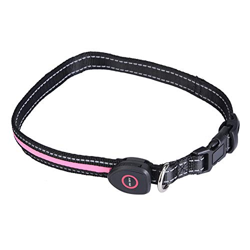 LED Hundekragen USB wiederaufladbare verstellbare Nylonkragen Haustiere Sicherheit blinkend blau Pink S M L Nacht Walk (L) von Gavigain