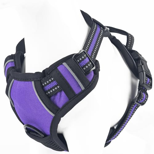 Gavpepy No Pull Hundegeschirr, reflektierendes, bequemes Westengeschirr mit Griff zur einfachen Kontrolle, verstellbare, weich gepolsterte Haustierweste für kleine bis große Hunde (Lila, Mittel (ca. Gavpepy No Pull Hundegeschirr, reflektierendes, bequemes Westengeschirr mit Griff zur einfachen Kontrolle, verstellbare, weich gepolsterte Haustierweste für kleine bis große Hunde (Lila, Mittel (ca. von Gavpepy