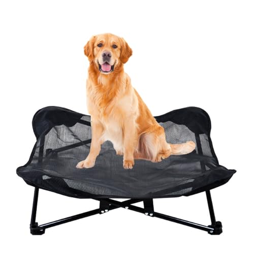Gaxcent Hundebett Erhöhtes Katzenbett 60x60x20 cm, M Größe Faltbar Hundeliege Atmungsaktivem Polyester Haustierbett abnehmbar waschbar Haustierliege, für Indoor-Outdoor,Schwarz von Gaxcent