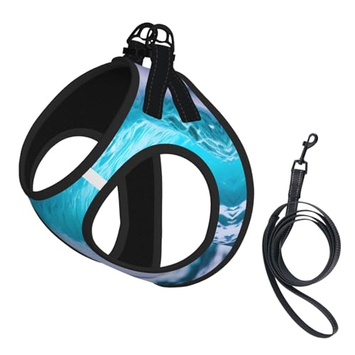 Blue Ocean Hundegeschirr und Leine, Set mit Wellendruck, reflektierend, verstellbar, Welpenweste für kleine, mittelgroße und große Hunde, Katzen Blue Ocean Hundegeschirr und Leine, Set mit Wellendruck, reflektierend, verstellbar, Welpenweste für kleine, mittelgroße und große Hunde, Katzen von GaxfjRu