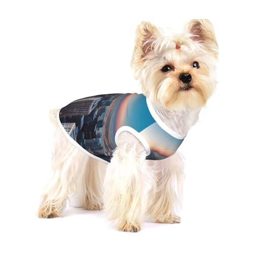 Chicago Illinois USA T-Shirt für kleine Hunde, modisches Shirt, atmungsaktiv, ärmellos, für kleine Hunde von GaxfjRu