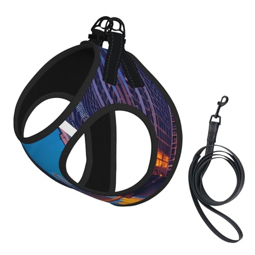 Chicago Night Hundegeschirr und Leine, Set, reflektierend, verstellbar, Welpenweste für kleine, mittelgroße und große Hunde, Katzen Chicago Night Hundegeschirr und Leine, Set, reflektierend, verstellbar, Welpenweste für kleine, mittelgroße und große Hunde, Katzen von GaxfjRu