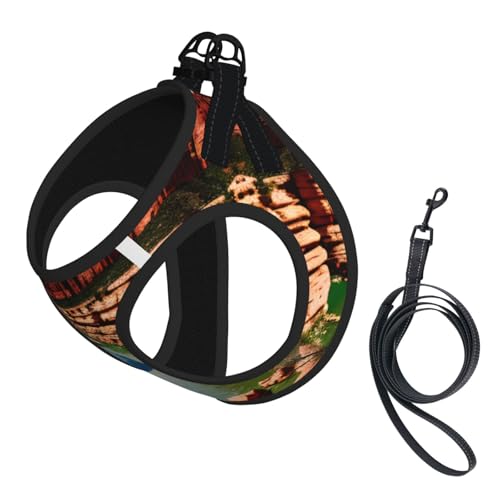 Grand Canyon Hundegeschirr und Leine, reflektierend, verstellbar, Welpenweste für kleine, mittelgroße und große Hunde, Katzen Grand Canyon Hundegeschirr und Leine, reflektierend, verstellbar, Welpenweste für kleine, mittelgroße und große Hunde, Katzen von GaxfjRu