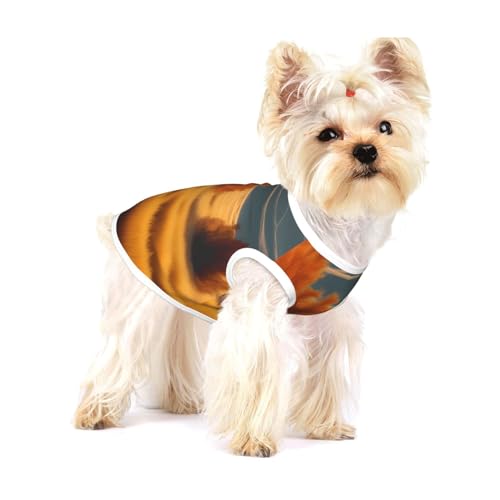 Herbst-T-Shirt mit goldenem Graslandschaftsdruck für kleine Hunde, modisches Hemd, atmungsaktiv, ärmellos, für kleine Hunde Herbst-T-Shirt mit goldenem Graslandschaftsdruck für kleine Hunde, modisches Hemd, atmungsaktiv, ärmellos, für kleine Hunde von GaxfjRu