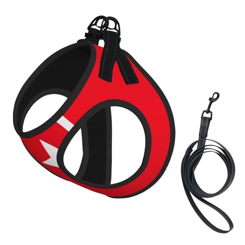 Hundegeschirr und Leine, Motiv: Flagge der Türkei, reflektierend, verstellbar, Welpenweste für kleine, mittelgroße und große Hunde, Katzen Hundegeschirr und Leine, Motiv: Flagge der Türkei, reflektierend, verstellbar, Welpenweste für kleine, mittelgroße und große Hunde, Katzen von GaxfjRu