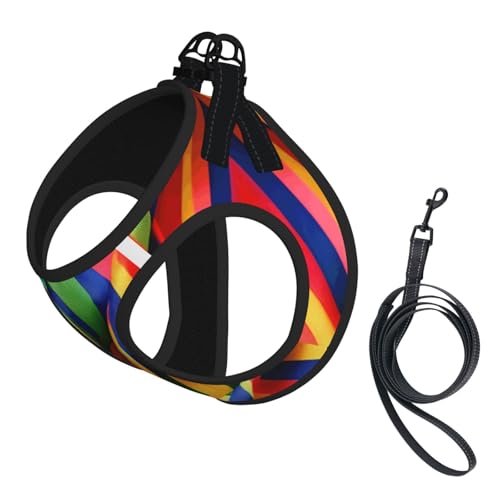 Hundegeschirr und Leine, Regenbogenfarben, gestreift, reflektierend, verstellbar, für kleine, mittelgroße und große Hunde, Katzen Hundegeschirr und Leine, Regenbogenfarben, gestreift, reflektierend, verstellbar, für kleine, mittelgroße und große Hunde, Katzen von GaxfjRu