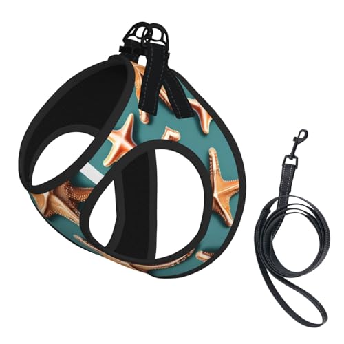 Hundegeschirr und Leine, Set mit Muschelmotiv, reflektierend, verstellbar, für kleine, mittelgroße und große Hunde, Katzen Hundegeschirr und Leine, Set mit Muschelmotiv, reflektierend, verstellbar, für kleine, mittelgroße und große Hunde, Katzen von GaxfjRu