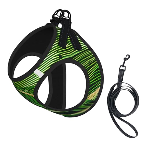 Hundegeschirr und Leine, Set mit Palmenblättern, reflektierend, verstellbar, Welpenweste für kleine, mittelgroße und große Hunde, Katzen Hundegeschirr und Leine, Set mit Palmenblättern, reflektierend, verstellbar, Welpenweste für kleine, mittelgroße und große Hunde, Katzen von GaxfjRu