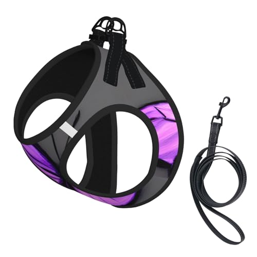 Hundegeschirr und Leine, Set mit Schmetterlingen, reflektierend, verstellbar, für kleine, mittelgroße und große Hunde, Katzen, Violett Hundegeschirr und Leine, Set mit Schmetterlingen, reflektierend, verstellbar, für kleine, mittelgroße und große Hunde, Katzen, Violett von GaxfjRu