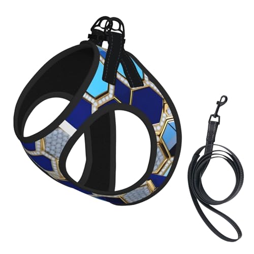 Hundegeschirr und Leine, Set mit blauen Sechsecken, reflektierend, verstellbar, für kleine, mittelgroße und große Hunde, Katzen Hundegeschirr und Leine, Set mit blauen Sechsecken, reflektierend, verstellbar, für kleine, mittelgroße und große Hunde, Katzen von GaxfjRu