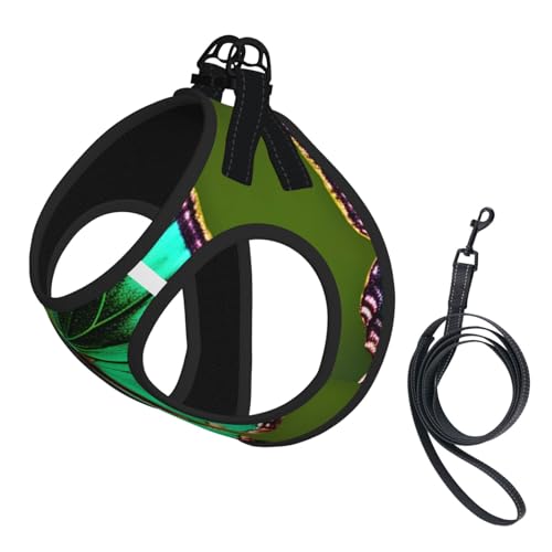 Hundegeschirr und Leine, Set mit buntem Schmetterlingsdruck, reflektierend, verstellbar, für kleine, mittelgroße und große Hunde, Katzen Hundegeschirr und Leine, Set mit buntem Schmetterlingsdruck, reflektierend, verstellbar, für kleine, mittelgroße und große Hunde, Katzen von GaxfjRu