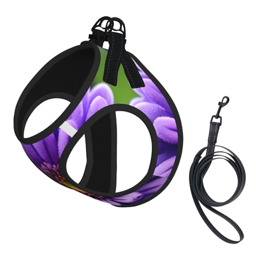 Hundegeschirr und Leine, Set mit violettem Lavendelblumendruck, reflektierend, verstellbar, Welpenweste für kleine, mittelgroße und große Hunde, Katzen Hundegeschirr und Leine, Set mit violettem Lavendelblumendruck, reflektierend, verstellbar, Welpenweste für kleine, mittelgroße und große Hunde, Katzen von GaxfjRu