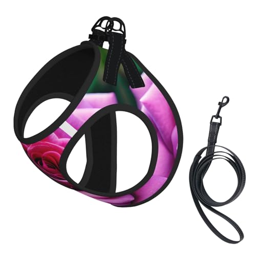 Hundegeschirr und Leine, Set mit violettem Rosenmuster, reflektierend, verstellbar, für kleine, mittelgroße und große Hunde Hundegeschirr und Leine, Set mit violettem Rosenmuster, reflektierend, verstellbar, für kleine, mittelgroße und große Hunde von GaxfjRu