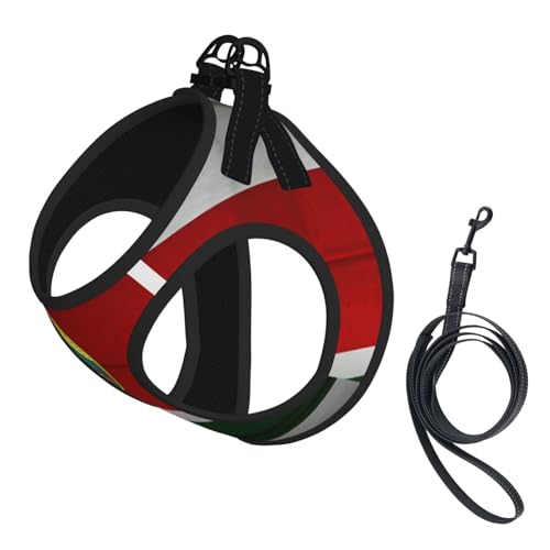Hundegeschirr und Leine, amerikanischer Druck, Hawaii-Flagge, verstellbar, reflektierend, für kleine, mittelgroße und große Hunde Hundegeschirr und Leine, amerikanischer Druck, Hawaii-Flagge, verstellbar, reflektierend, für kleine, mittelgroße und große Hunde von GaxfjRu