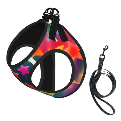 Hundegeschirr und Leine, bunt, Regenbogen-Stern-Druck, reflektierend, verstellbar, Welpenweste für kleine, mittelgroße und große Hunde, Katzen Hundegeschirr und Leine, bunt, Regenbogen-Stern-Druck, reflektierend, verstellbar, Welpenweste für kleine, mittelgroße und große Hunde, Katzen von GaxfjRu