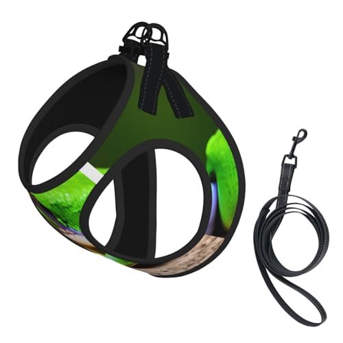 Hundegeschirr und Leine, mit Frosch- und Rotaugen-Aufdruck, reflektierend, verstellbar, für kleine, mittelgroße und große Hunde Hundegeschirr und Leine, mit Frosch- und Rotaugen-Aufdruck, reflektierend, verstellbar, für kleine, mittelgroße und große Hunde von GaxfjRu