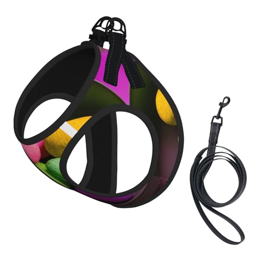 Hundegeschirr und Leine, mit Meditationsdruck, reflektierend, verstellbar, für kleine, mittelgroße und große Hunde Hundegeschirr und Leine, mit Meditationsdruck, reflektierend, verstellbar, für kleine, mittelgroße und große Hunde von GaxfjRu