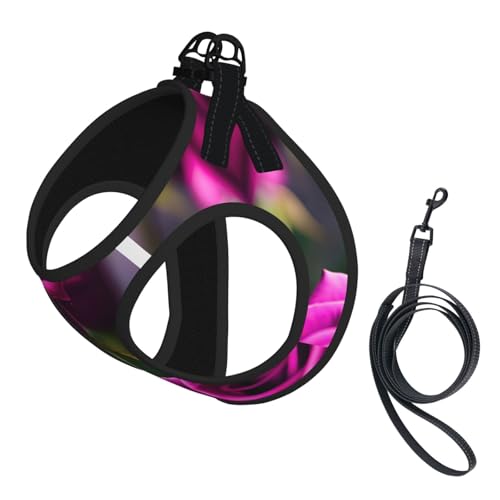 Hundegeschirr und Leine mit violettem Rosenmuster, reflektierend, verstellbar, für kleine, mittelgroße und große Hunde Hundegeschirr und Leine mit violettem Rosenmuster, reflektierend, verstellbar, für kleine, mittelgroße und große Hunde von GaxfjRu