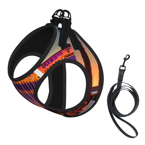 Las Vegas Sunset Hundegeschirr und Leine, reflektierend, verstellbar, für kleine, mittelgroße und große Hunde, Katzen Las Vegas Sunset Hundegeschirr und Leine, reflektierend, verstellbar, für kleine, mittelgroße und große Hunde, Katzen von GaxfjRu