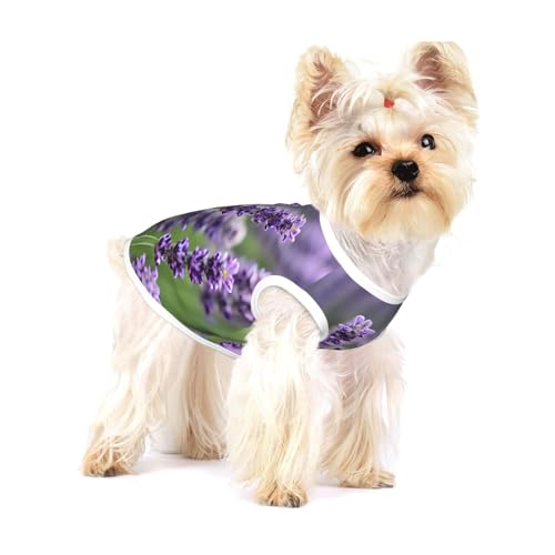 Leichtes Tanktop für Hunde, Hunde-Shirts für kleine Hunde, dehnbar, ärmellos, Lavendel-Lavendel-Blumenmuster, Violett Leichtes Tanktop für Hunde, Hunde-Shirts für kleine Hunde, dehnbar, ärmellos, Lavendel-Lavendel-Blumenmuster, Violett von GaxfjRu
