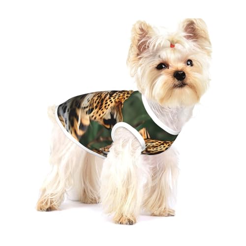 Leichtes Tanktop mit Leopardenmuster für Hunde, Hunde-Shirts für kleine Hunde, dehnbare T-Shirts, ärmellose Weste von GaxfjRu